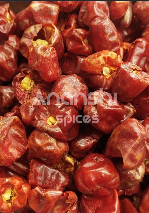 Dry Chilli Bor (also known as Bori / Byadgi-type chilli)