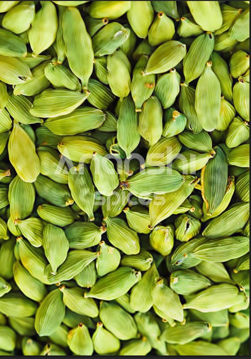 Green Cardamom (Choti Elaichi)