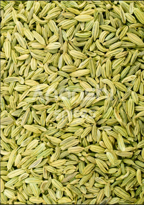 Fennel Seeds (Saunf)